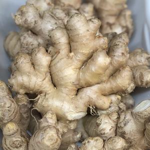 Gingembre Bio frais du Pérou