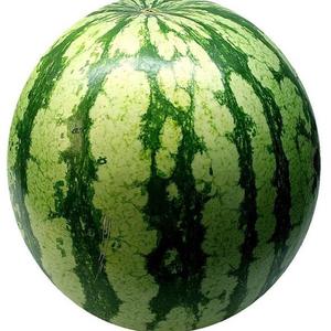 Melon d'eau mini Biologique