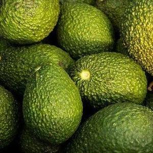 Avocat Bio