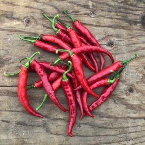 La collection de piments - Coffret de semences ancestrales – Le  nutritionniste urbain