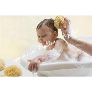 Éponge naturelle de bain pour bébé - bebekevi