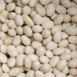 Organic navy bean
