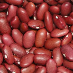 Dark red kidney beans organic