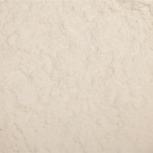 Organic Onion powder