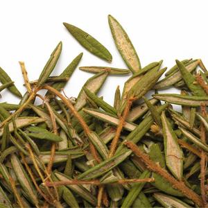 Labrador tea