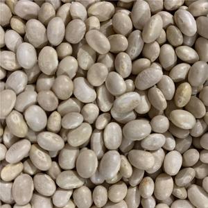 White beans