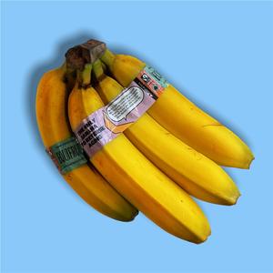 Organic Banana
