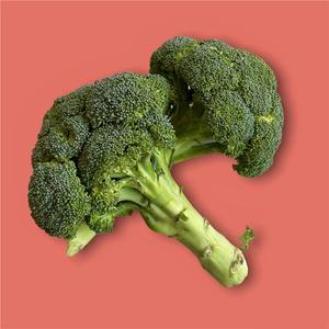 Brocoli Biologique