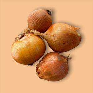 Organic Yellow Onion