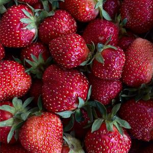 Fraise