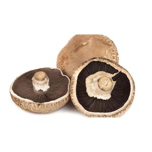 Organic Portobello Mushroom