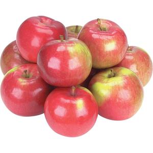 Pomme Spartan Biologique