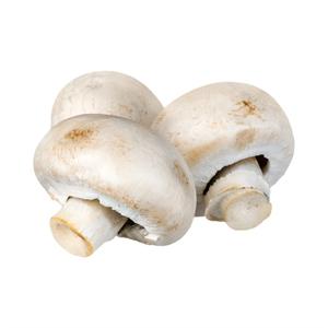 Brown/White Mushroom Org
