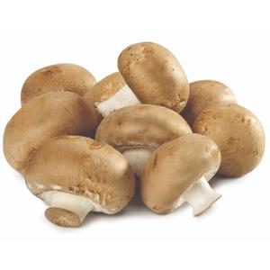 Champignon Café Bio
