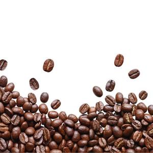 Café Noir Décaféiné Biologique