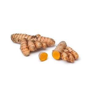 Curcuma Biologique