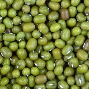 Organic mung bean