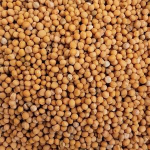 Organic whole grain mustard