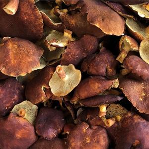 Organic dehydrated Bolet