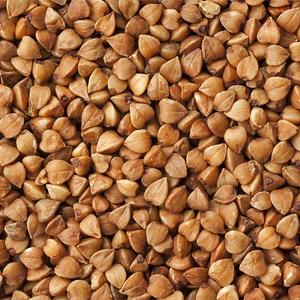 Organic buckwheat seed