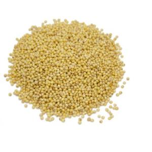 Grains de millet bio