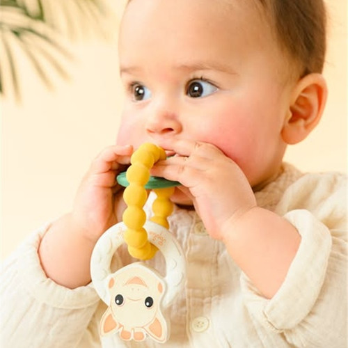 Baby Einstein Anneau De Dentition Sensoriel Curiosity Clutch - 6 Activités, Sans BPA, Dès 3 Mois