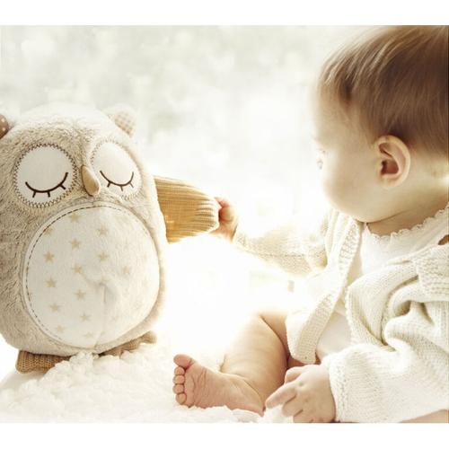 Jouet en peluche pour bébé de 0 à 12 mois, poussette, hibou