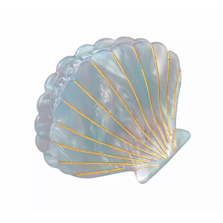Ensemble De Coquillages Bivalves Naturels - Artisanat Du Japon - Éclat Iridescent
