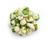 Pois wasabi