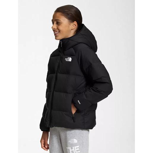 Manteau north face discount noir