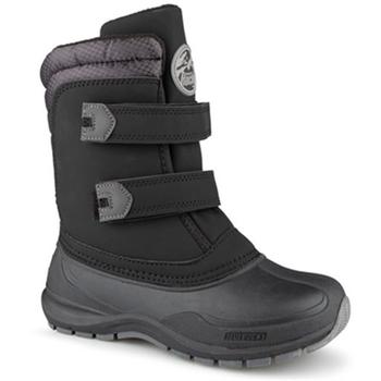 Botte