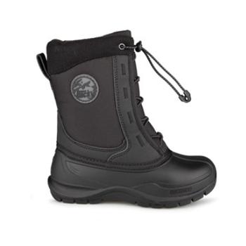 Botte