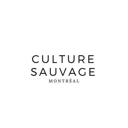 Culture Sauvage - Pierre d'argile - nettoyant multi-surface écologique 190g