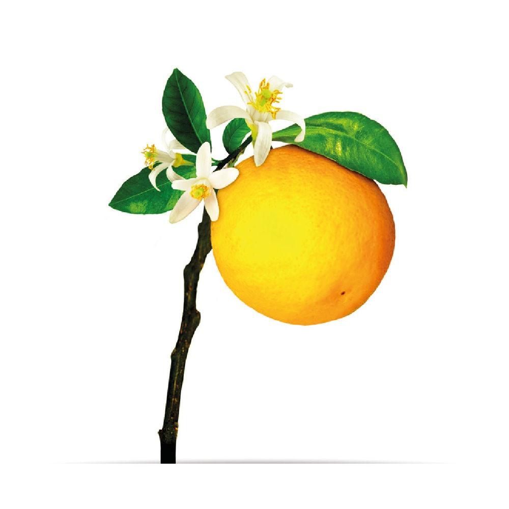 oNature - Extrait de senteur - 10 mL Orangerie (com. spéciale)