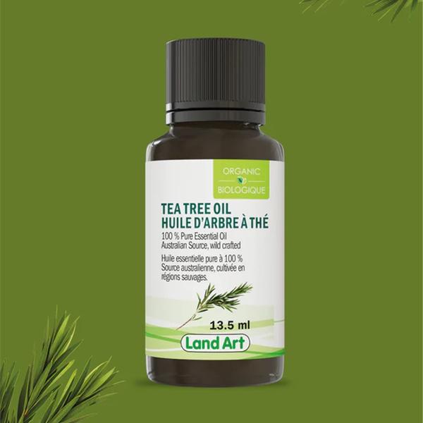 Huile essentielle d'arbre à thé (tea tree) - Vert Essentiel