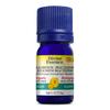 Hélichryse Bractéifère 5 mL null