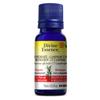 Romarin CT Camphre 15 mL null