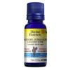 Lavandin Super 15 mL null