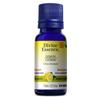 Citron 15 mL null