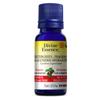 Gaulthérie (thé des bois) 15 mL null