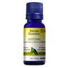 Ravintsara 15 mL null