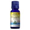 Pruche 15 mL null