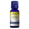 Clou de Girofle 15 mL null