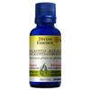 Eucalyptus Globuleux 30 mL null