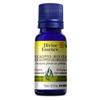 Eucalyptus Globuleux 15 mL null