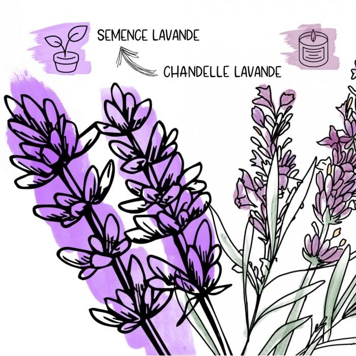 Mano Verde - Funky Pousse (duo chandelle + plante)