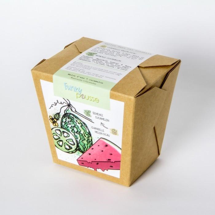 Mano Verde - Funky Pousse (duo chandelle + plante)