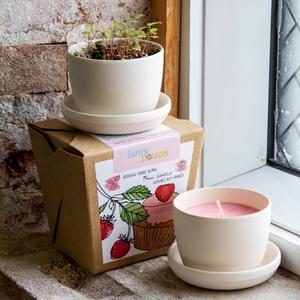 Funky Pousse (duo chandelle + plante)