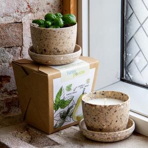 Funky Pousse (duo chandelle + plante)