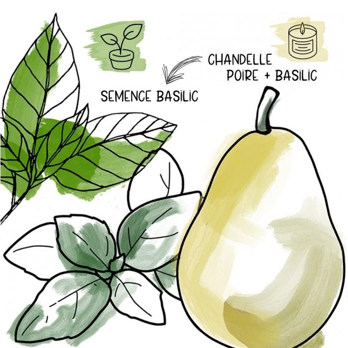 Mano Verde - Funky Pousse (duo chandelle + plante)